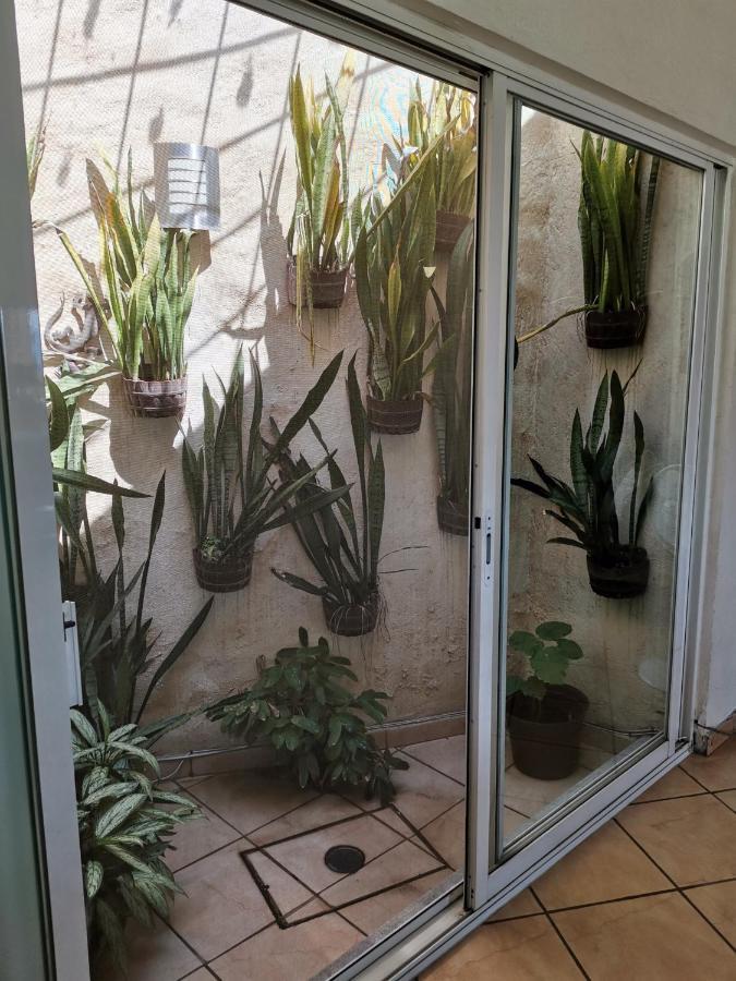 Casa Flor De Mayo تيميكسكو المظهر الخارجي الصورة